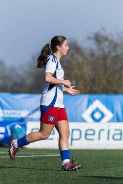 Bild 170 - F Hamburger SV 3 - Blau-Weiss 96 : Ergebnis: 5:1